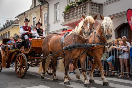Povorka ob dnevih narodnih noš in oblačilne dedščine (46)